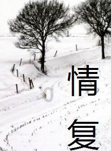 探秘英语作文西安 写一篇关于西安的英语作文,发现更多快乐