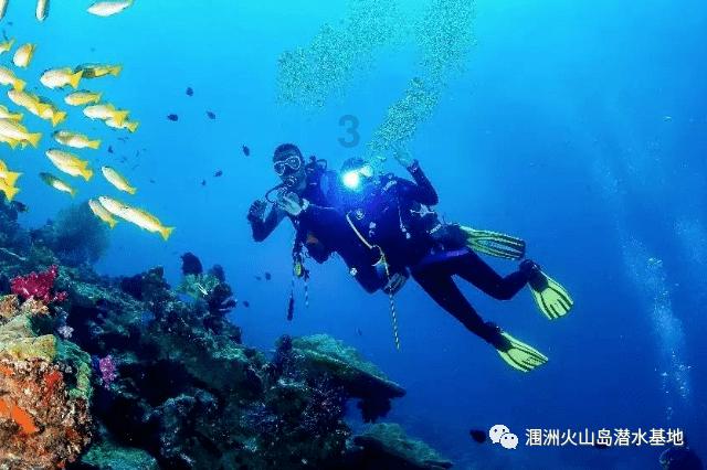 猫传腹的症状？
