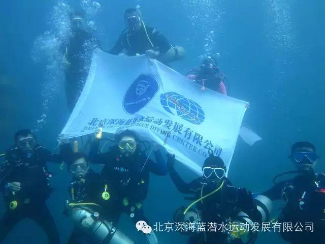 收评：大盘全天震荡调整 景点及旅游板块走强