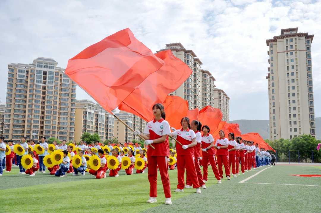几只长寿三代的“高寿”狗狗,有一只童颜博美,今年17岁了!