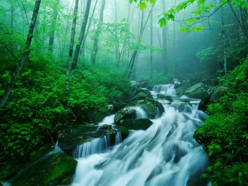 一闪一闪亮晶晶，满天都是小星星游戏画面