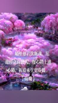 昆明动物园通报“猴猫共处”：计划将猫移出猴山，对猫开展全面体检